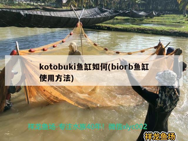 kotobuki魚缸如何(biorb魚缸使用方法)