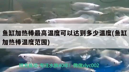 魚缸加熱棒最高溫度可以達(dá)到多少溫度(魚缸加熱棒溫度范圍)