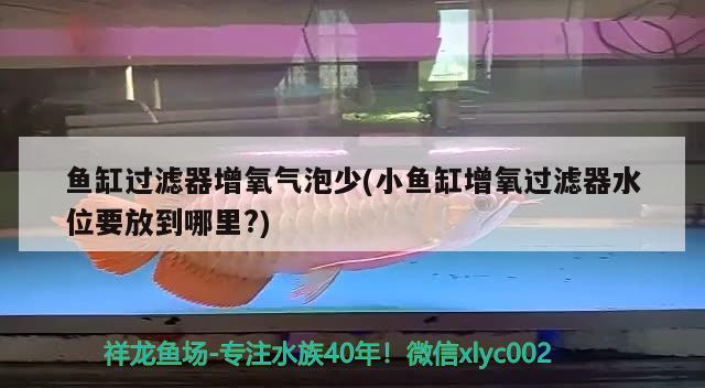 魚(yú)缸過(guò)濾器增氧氣泡少(小魚(yú)缸增氧過(guò)濾器水位要放到哪里?)