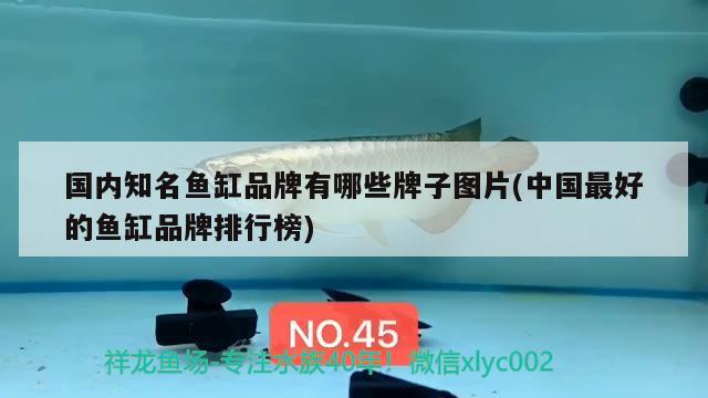 國內(nèi)知名魚缸品牌有哪些牌子圖片(中國最好的魚缸品牌排行榜)