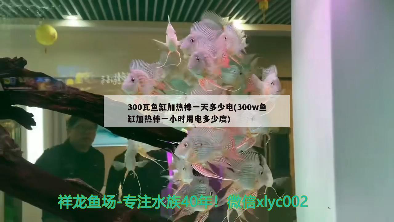 300瓦魚缸加熱棒一天多少電(300w魚缸加熱棒一小時用電多少度)