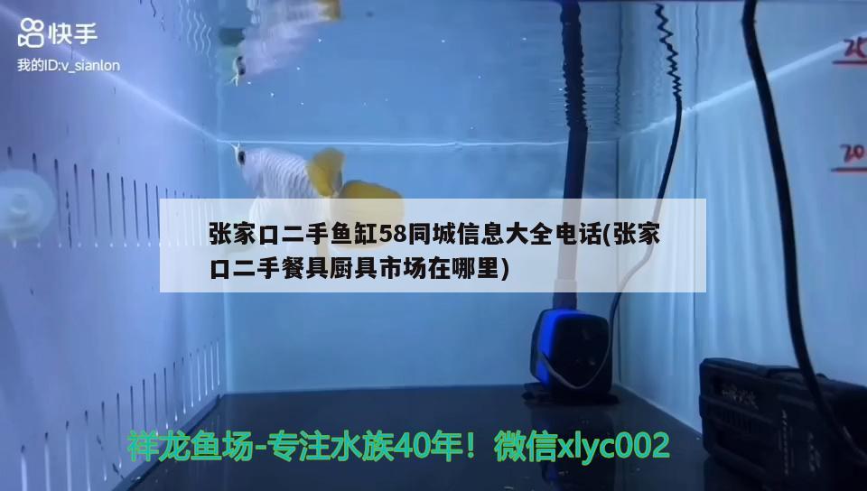 張家口二手魚缸58同城信息大全電話(張家口二手餐具廚具市場(chǎng)在哪里) 大白鯊魚苗