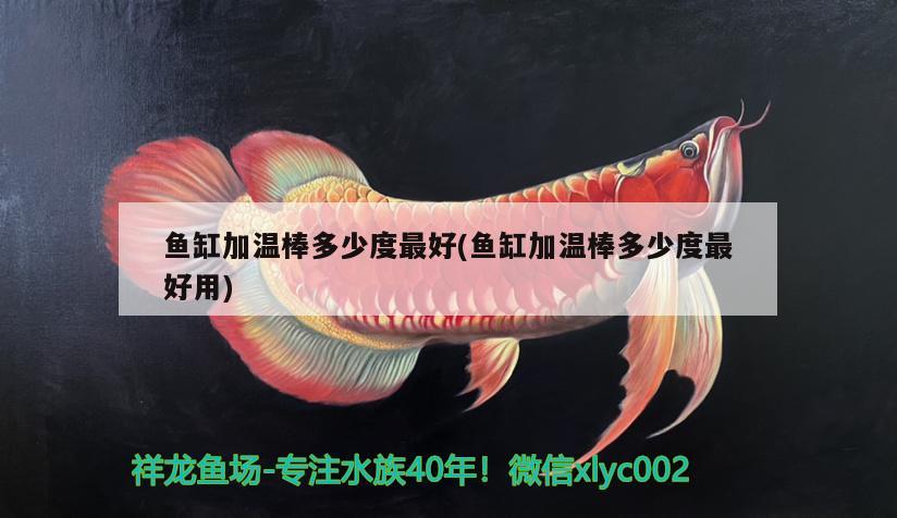 魚缸加溫棒多少度最好(魚缸加溫棒多少度最好用) 觀賞龜/鱉飼料