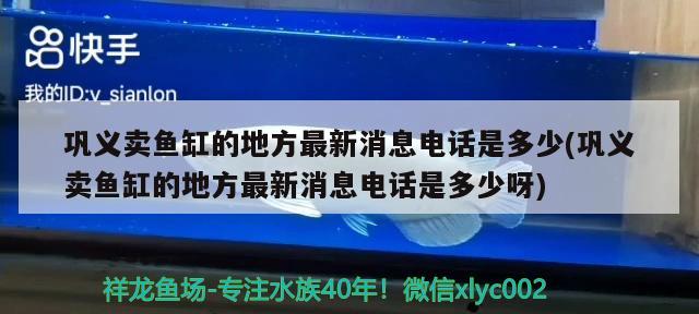 鞏義賣魚缸的地方最新消息電話是多少(鞏義賣魚缸的地方最新消息電話是多少呀)