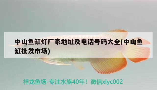 中山魚缸燈廠家地址及電話號碼大全(中山魚缸批發(fā)市場) 黃金斑馬魚