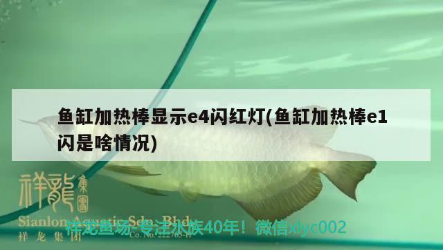 魚缸加熱棒顯示e4閃紅燈(魚缸加熱棒e1閃是啥情況)