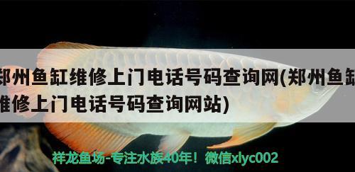 鄭州魚缸維修上門電話號碼查詢網(wǎng)(鄭州魚缸維修上門電話號碼查詢網(wǎng)站)