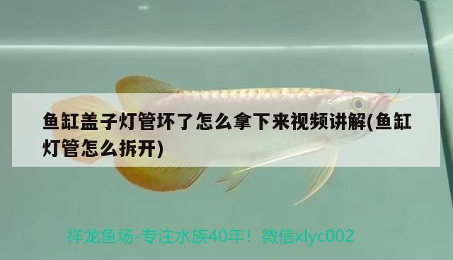 魚缸蓋子燈管壞了怎么拿下來視頻講解(魚缸燈管怎么拆開) 祥龍龍魚魚糧 第2張