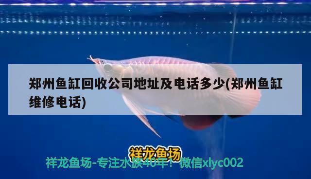 鄭州魚缸回收公司地址及電話多少(鄭州魚缸維修電話)