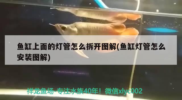 魚缸上面的燈管怎么拆開圖解(魚缸燈管怎么安裝圖解) 水族世界 第1張