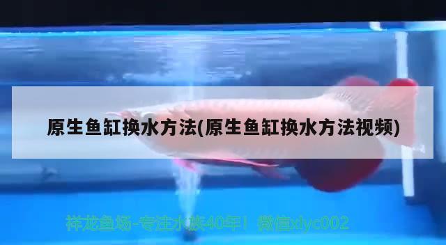 原生魚缸換水方法(原生魚缸換水方法視頻) 黑白雙星