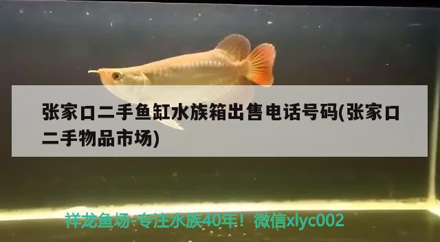 張家口二手魚缸水族箱出售電話號碼(張家口二手物品市場)