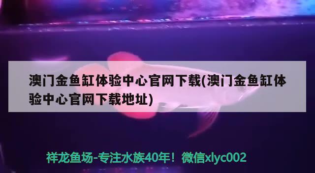 澳門金魚缸體驗中心官網(wǎng)下載(澳門金魚缸體驗中心官網(wǎng)下載地址)