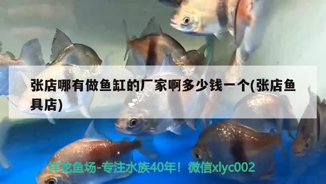 張店哪有做魚缸的廠家啊多少錢一個(張店魚具店)