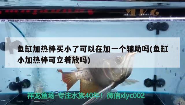 魚缸加熱棒買小了可以在加一個輔助嗎(魚缸小加熱棒可立著放嗎) 女王大帆魚苗