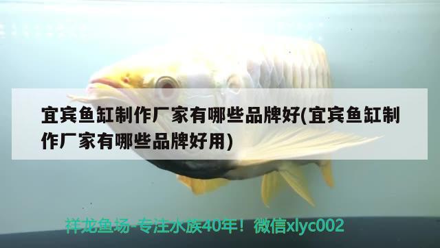 宜賓魚缸制作廠家有哪些品牌好(宜賓魚缸制作廠家有哪些品牌好用) 綠皮辣椒小紅龍