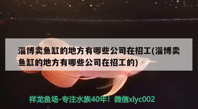 淄博賣魚缸的地方有哪些公司在招工(淄博賣魚缸的地方有哪些公司在招工的)