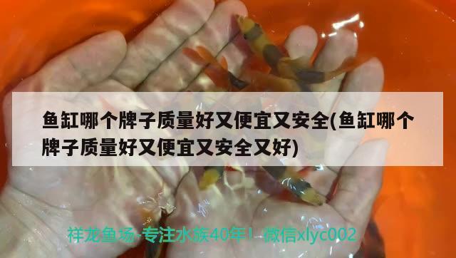 魚缸哪個(gè)牌子質(zhì)量好又便宜又安全(魚缸哪個(gè)牌子質(zhì)量好又便宜又安全又好)