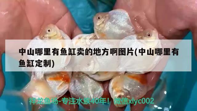 中山哪里有魚缸賣的地方啊圖片(中山哪里有魚缸定制) 錦鯉魚百科