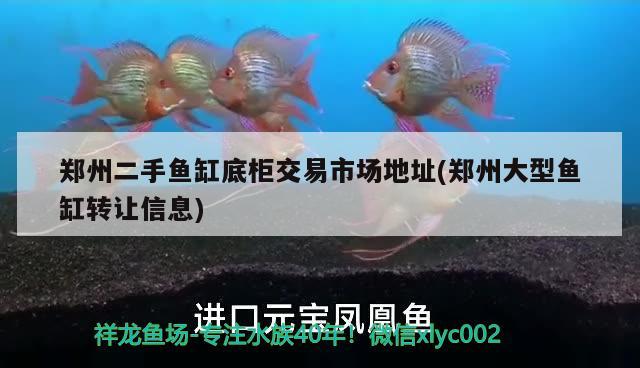 鄭州二手魚缸底柜交易市場地址(鄭州大型魚缸轉(zhuǎn)讓信息)