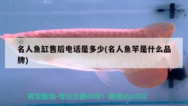 名人魚缸售后電話是多少(名人魚竿是什么品牌) 垂釣樂(lè)園