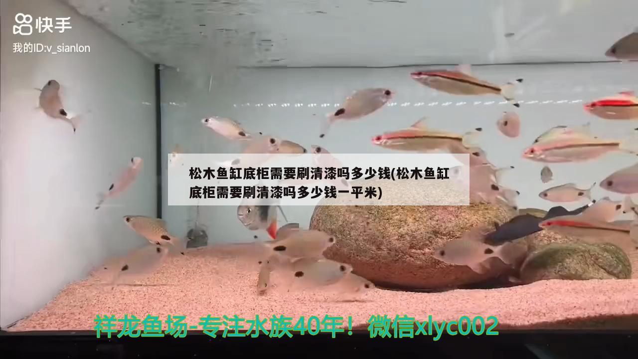 松木魚(yú)缸底柜需要刷清漆嗎多少錢(qián)(松木魚(yú)缸底柜需要刷清漆嗎多少錢(qián)一平米) 黑水素