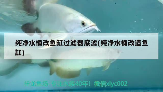 純凈水桶改魚缸過濾器底濾(純凈水桶改造魚缸)