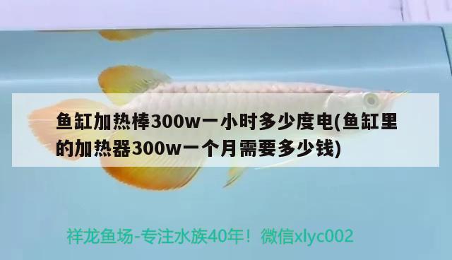 魚缸加熱棒300w一小時多少度電(魚缸里的加熱器300w一個月需要多少錢)