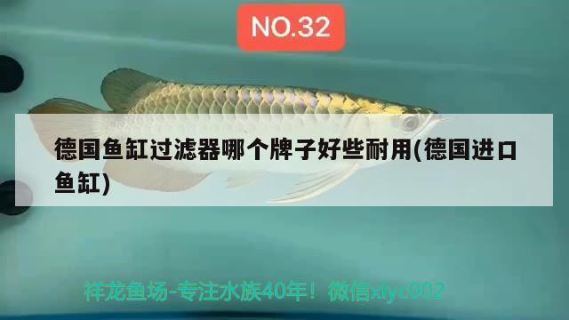 德國魚缸過濾器哪個牌子好些耐用(德國進口魚缸) 祥龍傳奇品牌魚缸