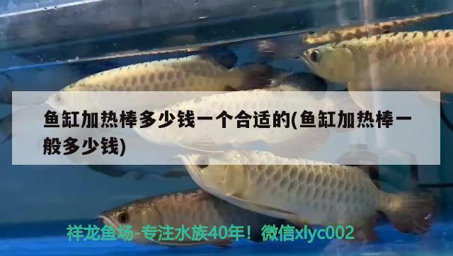 魚缸加熱棒多少錢一個合適的(魚缸加熱棒一般多少錢)