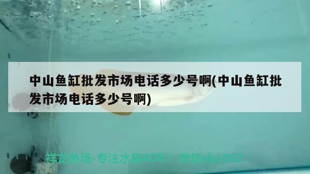 中山魚(yú)缸批發(fā)市場(chǎng)電話(huà)多少號(hào)啊(中山魚(yú)缸批發(fā)市場(chǎng)電話(huà)多少號(hào)啊)