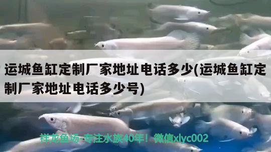 運(yùn)城魚缸定制廠家地址電話多少(運(yùn)城魚缸定制廠家地址電話多少號(hào))