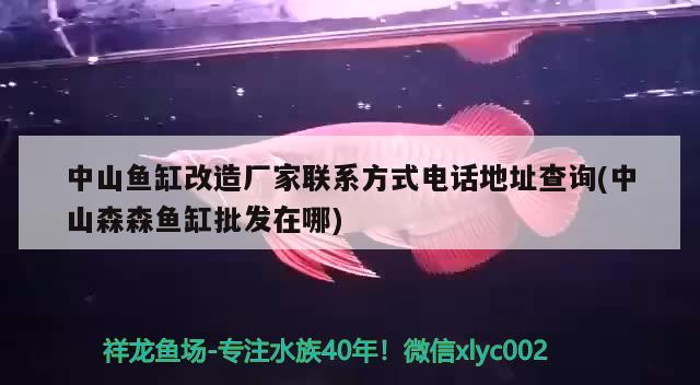 中山魚(yú)缸改造廠家聯(lián)系方式電話地址查詢(中山森森魚(yú)缸批發(fā)在哪)