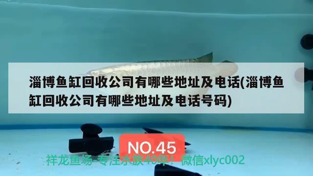 淄博魚(yú)缸回收公司有哪些地址及電話(huà)(淄博魚(yú)缸回收公司有哪些地址及電話(huà)號(hào)碼) 玫瑰銀版魚(yú)