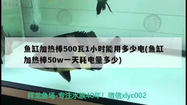 魚(yú)缸加熱棒500瓦1小時(shí)能用多少電(魚(yú)缸加熱棒50w一天耗電量多少)