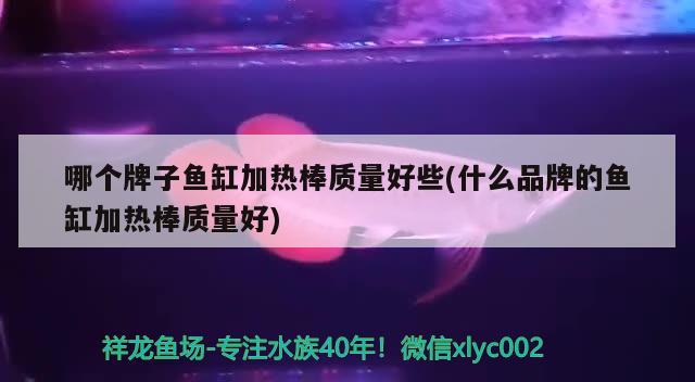 哪個(gè)牌子魚(yú)缸加熱棒質(zhì)量好些(什么品牌的魚(yú)缸加熱棒質(zhì)量好)