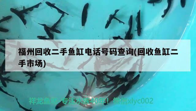 福州回收二手魚缸電話號(hào)碼查詢(回收魚缸二手市場(chǎng))