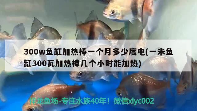 300w魚(yú)缸加熱棒一個(gè)月多少度電(一米魚(yú)缸300瓦加熱棒幾個(gè)小時(shí)能加熱)