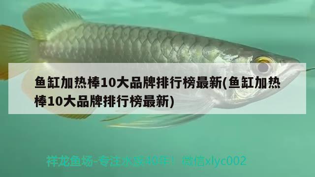 魚(yú)缸加熱棒10大品牌排行榜最新(魚(yú)缸加熱棒10大品牌排行榜最新) 帝王血鉆魚(yú)