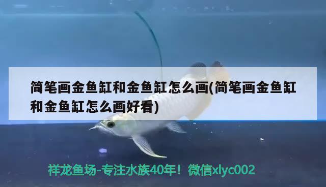 簡筆畫金魚缸和金魚缸怎么畫(簡筆畫金魚缸和金魚缸怎么畫好看)