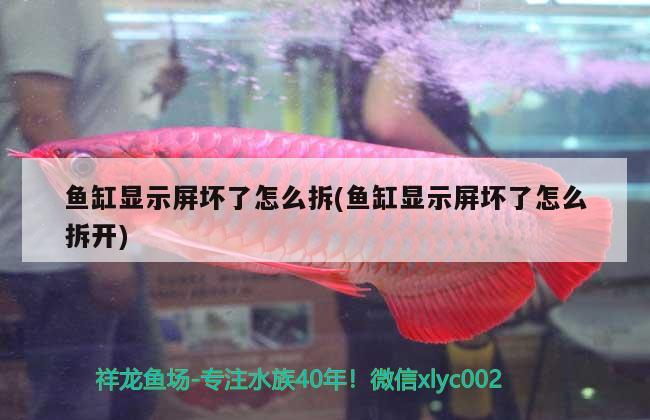 魚缸顯示屏壞了怎么拆(魚缸顯示屏壞了怎么拆開)