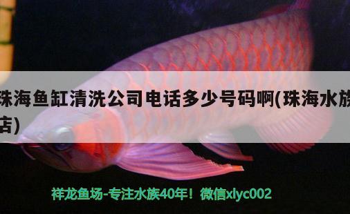 珠海魚缸清洗公司電話多少號碼啊(珠海水族店)