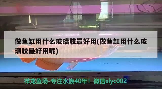 做魚缸用什么玻璃膠最好用(做魚缸用什么玻璃膠最好用呢) 觀賞魚魚苗