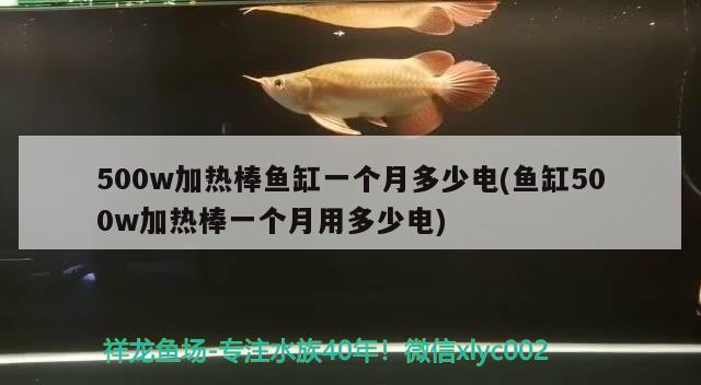 500w加熱棒魚缸一個月多少電(魚缸500w加熱棒一個月用多少電) 朱巴利魚苗