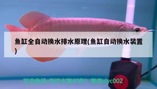 魚缸全自動(dòng)換水排水原理(魚缸自動(dòng)換水裝置) 刀魚魚