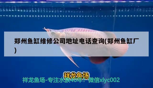 鄭州魚缸維修公司地址電話查詢(鄭州魚缸廠)