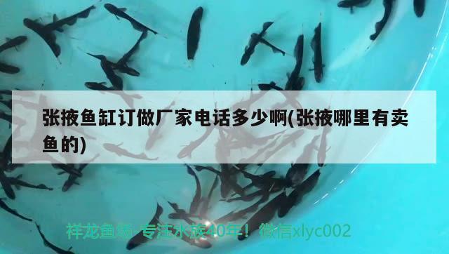 張掖魚缸訂做廠家電話多少啊(張掖哪里有賣魚的) 元寶鳳凰魚專用魚糧