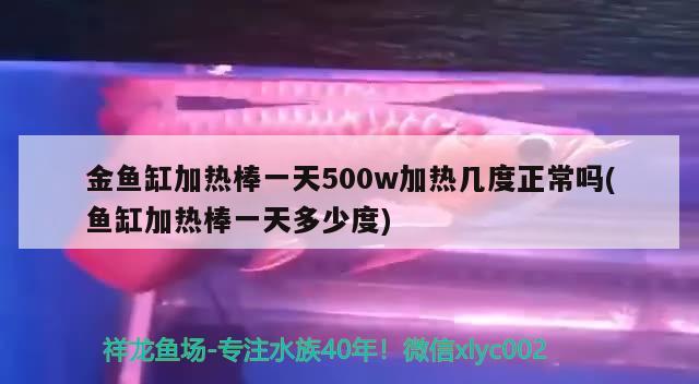 金魚缸加熱棒一天500w加熱幾度正常嗎(魚缸加熱棒一天多少度) 夢幻雷龍魚