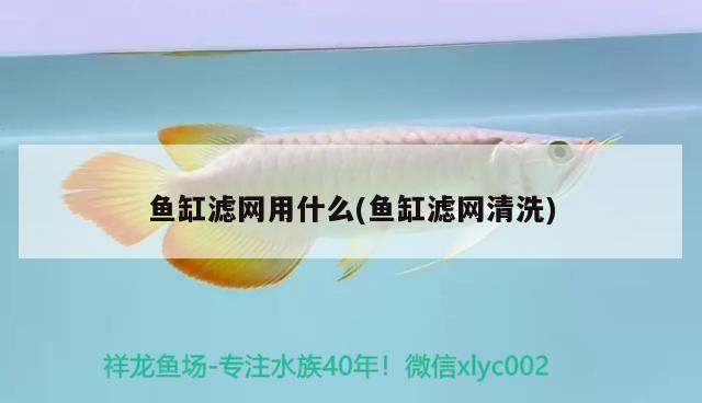 魚缸濾網(wǎng)用什么(魚缸濾網(wǎng)清洗) 黃金夢幻雷龍魚