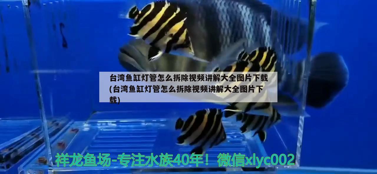 臺灣魚缸燈管怎么拆除視頻講解大全圖片下載(臺灣魚缸燈管怎么拆除視頻講解大全圖片下載) 觀賞魚百科